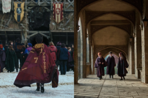 Harry Potter Series HBO